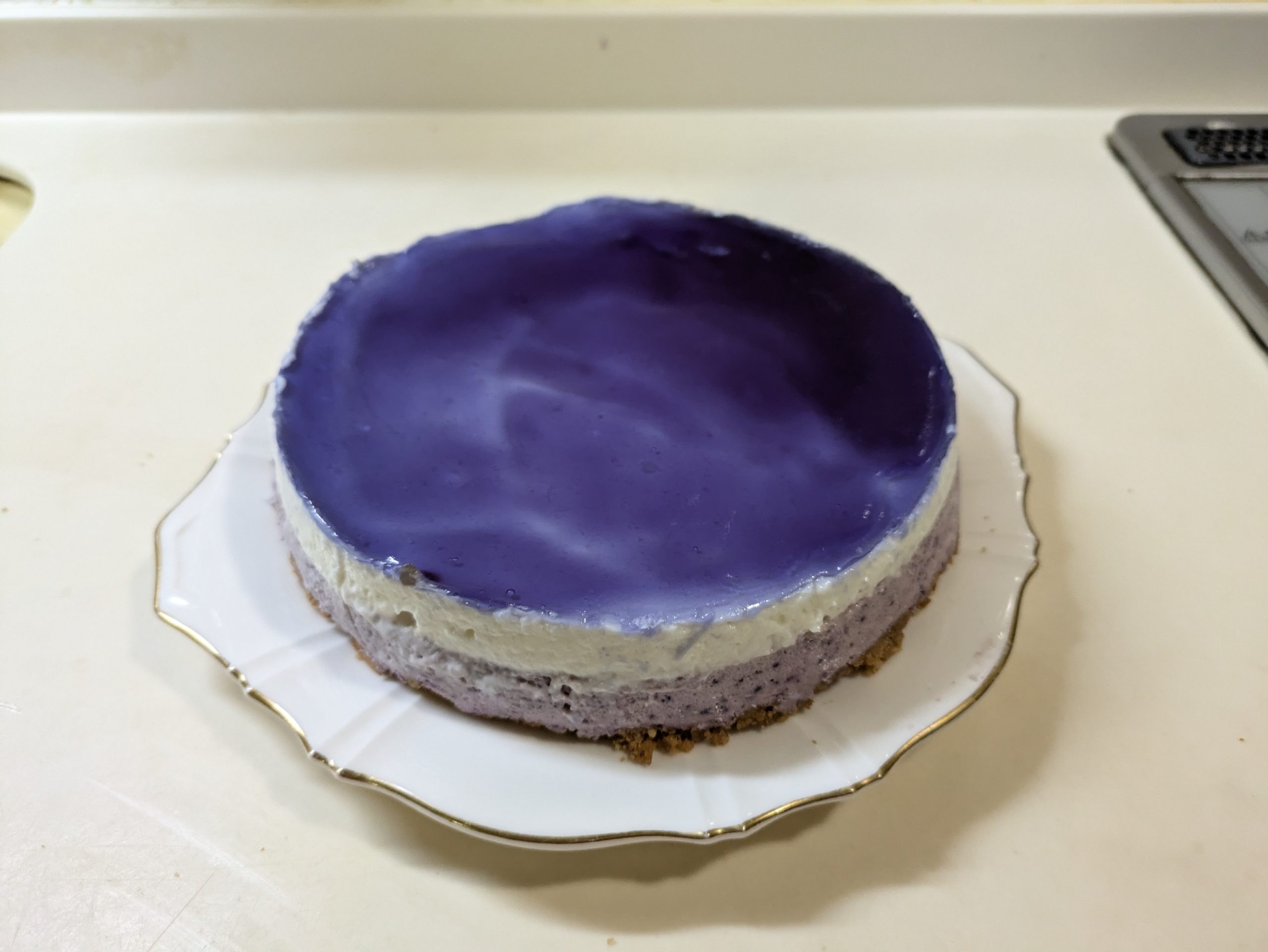 ブルーベリーヨーグルトケーキ